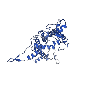 9776_6j3z_A_v1-3
Structure of C2S1M1-type PSII-FCPII supercomplex from diatom