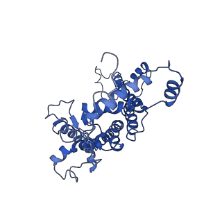 9776_6j3z_D_v1-3
Structure of C2S1M1-type PSII-FCPII supercomplex from diatom