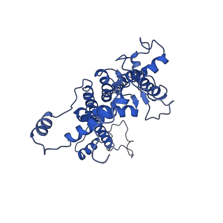 9776_6j3z_d_v1-3
Structure of C2S1M1-type PSII-FCPII supercomplex from diatom