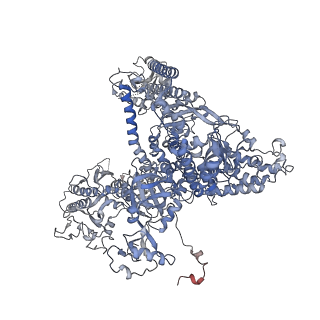 0672_6j4x_A_v1-3
RNA polymerase II elongation complex bound with Elf1 and Spt4/5, stalled at SHL(-1) of the nucleosome (+1A)