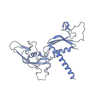 0672_6j4x_C_v1-3
RNA polymerase II elongation complex bound with Elf1 and Spt4/5, stalled at SHL(-1) of the nucleosome (+1A)