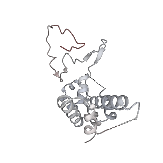 0672_6j4x_D_v1-3
RNA polymerase II elongation complex bound with Elf1 and Spt4/5, stalled at SHL(-1) of the nucleosome (+1A)