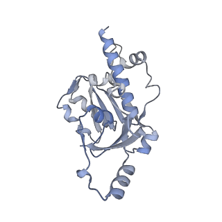 0672_6j4x_E_v1-2
RNA polymerase II elongation complex bound with Elf1 and Spt4/5, stalled at SHL(-1) of the nucleosome (+1A)