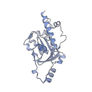 0672_6j4x_E_v1-3
RNA polymerase II elongation complex bound with Elf1 and Spt4/5, stalled at SHL(-1) of the nucleosome (+1A)