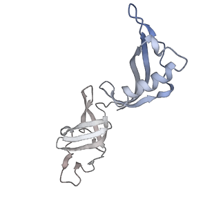 0672_6j4x_G_v1-3
RNA polymerase II elongation complex bound with Elf1 and Spt4/5, stalled at SHL(-1) of the nucleosome (+1A)