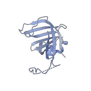 0672_6j4x_H_v1-3
RNA polymerase II elongation complex bound with Elf1 and Spt4/5, stalled at SHL(-1) of the nucleosome (+1A)