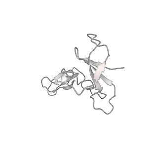 0672_6j4x_I_v1-3
RNA polymerase II elongation complex bound with Elf1 and Spt4/5, stalled at SHL(-1) of the nucleosome (+1A)