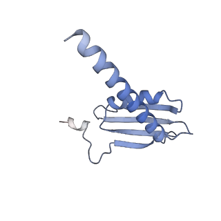 0672_6j4x_K_v1-2
RNA polymerase II elongation complex bound with Elf1 and Spt4/5, stalled at SHL(-1) of the nucleosome (+1A)