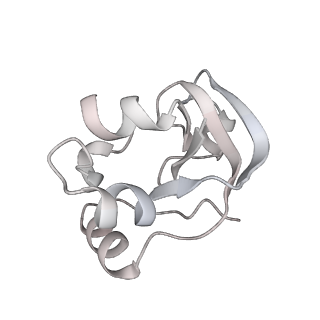 0672_6j4x_V_v1-3
RNA polymerase II elongation complex bound with Elf1 and Spt4/5, stalled at SHL(-1) of the nucleosome (+1A)