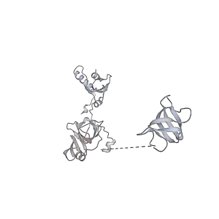 0672_6j4x_W_v1-3
RNA polymerase II elongation complex bound with Elf1 and Spt4/5, stalled at SHL(-1) of the nucleosome (+1A)