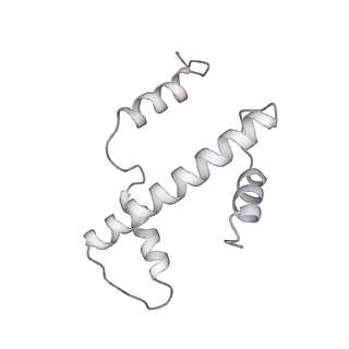 0672_6j4x_a_v1-2
RNA polymerase II elongation complex bound with Elf1 and Spt4/5, stalled at SHL(-1) of the nucleosome (+1A)