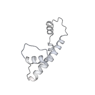 0672_6j4x_b_v1-2
RNA polymerase II elongation complex bound with Elf1 and Spt4/5, stalled at SHL(-1) of the nucleosome (+1A)