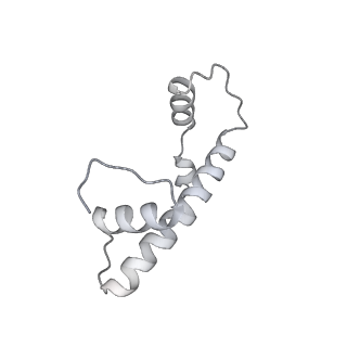 0672_6j4x_b_v1-3
RNA polymerase II elongation complex bound with Elf1 and Spt4/5, stalled at SHL(-1) of the nucleosome (+1A)