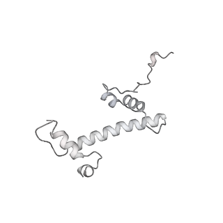 0672_6j4x_c_v1-3
RNA polymerase II elongation complex bound with Elf1 and Spt4/5, stalled at SHL(-1) of the nucleosome (+1A)