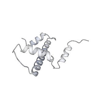 0672_6j4x_e_v1-3
RNA polymerase II elongation complex bound with Elf1 and Spt4/5, stalled at SHL(-1) of the nucleosome (+1A)