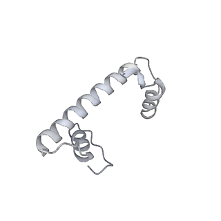 0672_6j4x_f_v1-3
RNA polymerase II elongation complex bound with Elf1 and Spt4/5, stalled at SHL(-1) of the nucleosome (+1A)