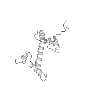0672_6j4x_g_v1-2
RNA polymerase II elongation complex bound with Elf1 and Spt4/5, stalled at SHL(-1) of the nucleosome (+1A)