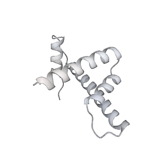 0672_6j4x_h_v1-2
RNA polymerase II elongation complex bound with Elf1 and Spt4/5, stalled at SHL(-1) of the nucleosome (+1A)