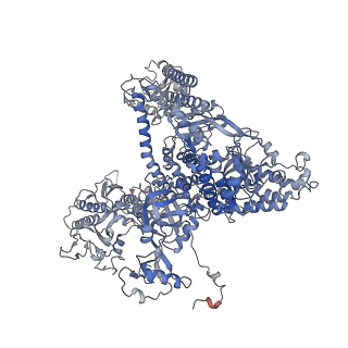 0673_6j4y_A_v1-3
RNA polymerase II elongation complex bound with Elf1 and Spt4/5, stalled at SHL(-1) of the nucleosome (+1B)