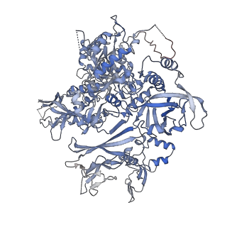 0673_6j4y_B_v1-3
RNA polymerase II elongation complex bound with Elf1 and Spt4/5, stalled at SHL(-1) of the nucleosome (+1B)