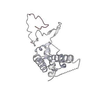 0673_6j4y_D_v1-3
RNA polymerase II elongation complex bound with Elf1 and Spt4/5, stalled at SHL(-1) of the nucleosome (+1B)