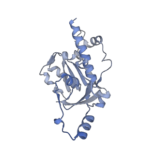 0673_6j4y_E_v1-2
RNA polymerase II elongation complex bound with Elf1 and Spt4/5, stalled at SHL(-1) of the nucleosome (+1B)