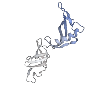 0673_6j4y_G_v1-3
RNA polymerase II elongation complex bound with Elf1 and Spt4/5, stalled at SHL(-1) of the nucleosome (+1B)