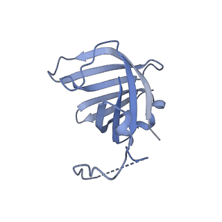 0673_6j4y_H_v1-3
RNA polymerase II elongation complex bound with Elf1 and Spt4/5, stalled at SHL(-1) of the nucleosome (+1B)