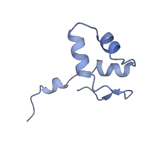 0673_6j4y_J_v1-2
RNA polymerase II elongation complex bound with Elf1 and Spt4/5, stalled at SHL(-1) of the nucleosome (+1B)
