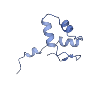 0673_6j4y_J_v1-3
RNA polymerase II elongation complex bound with Elf1 and Spt4/5, stalled at SHL(-1) of the nucleosome (+1B)