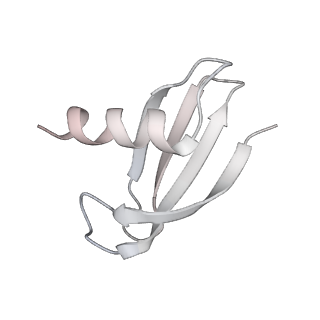 0673_6j4y_M_v1-3
RNA polymerase II elongation complex bound with Elf1 and Spt4/5, stalled at SHL(-1) of the nucleosome (+1B)