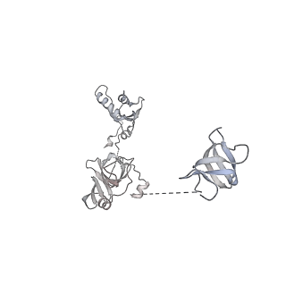 0673_6j4y_W_v1-3
RNA polymerase II elongation complex bound with Elf1 and Spt4/5, stalled at SHL(-1) of the nucleosome (+1B)