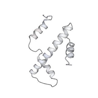 0673_6j4y_a_v1-2
RNA polymerase II elongation complex bound with Elf1 and Spt4/5, stalled at SHL(-1) of the nucleosome (+1B)
