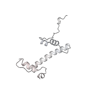 0673_6j4y_c_v1-2
RNA polymerase II elongation complex bound with Elf1 and Spt4/5, stalled at SHL(-1) of the nucleosome (+1B)