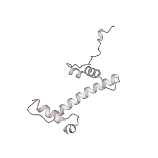 0673_6j4y_c_v1-3
RNA polymerase II elongation complex bound with Elf1 and Spt4/5, stalled at SHL(-1) of the nucleosome (+1B)