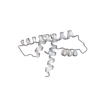 0673_6j4y_d_v1-3
RNA polymerase II elongation complex bound with Elf1 and Spt4/5, stalled at SHL(-1) of the nucleosome (+1B)