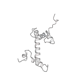 0673_6j4y_g_v1-3
RNA polymerase II elongation complex bound with Elf1 and Spt4/5, stalled at SHL(-1) of the nucleosome (+1B)