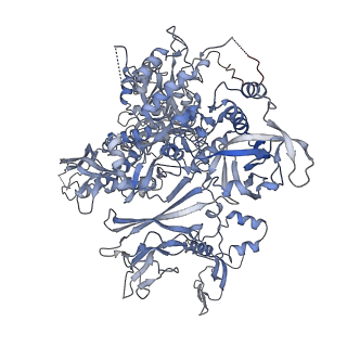 0674_6j4z_B_v1-3
RNA polymerase II elongation complex bound with Spt4/5 and foreign DNA, stalled at SHL(-1) of the nucleosome