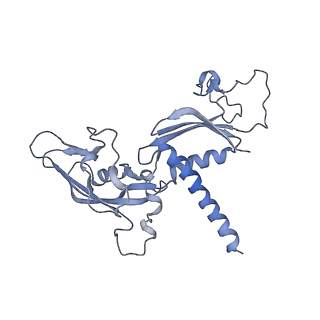 0674_6j4z_C_v1-3
RNA polymerase II elongation complex bound with Spt4/5 and foreign DNA, stalled at SHL(-1) of the nucleosome