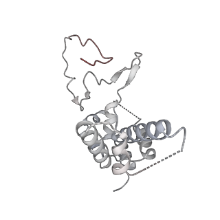 0674_6j4z_D_v1-3
RNA polymerase II elongation complex bound with Spt4/5 and foreign DNA, stalled at SHL(-1) of the nucleosome