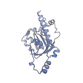 0674_6j4z_E_v1-3
RNA polymerase II elongation complex bound with Spt4/5 and foreign DNA, stalled at SHL(-1) of the nucleosome