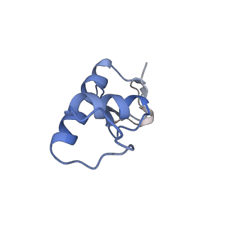 0674_6j4z_F_v1-2
RNA polymerase II elongation complex bound with Spt4/5 and foreign DNA, stalled at SHL(-1) of the nucleosome