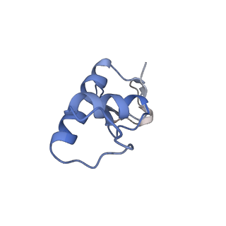 0674_6j4z_F_v1-3
RNA polymerase II elongation complex bound with Spt4/5 and foreign DNA, stalled at SHL(-1) of the nucleosome