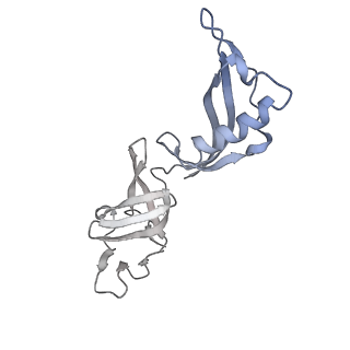 0674_6j4z_G_v1-3
RNA polymerase II elongation complex bound with Spt4/5 and foreign DNA, stalled at SHL(-1) of the nucleosome