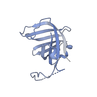 0674_6j4z_H_v1-3
RNA polymerase II elongation complex bound with Spt4/5 and foreign DNA, stalled at SHL(-1) of the nucleosome