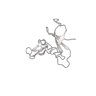 0674_6j4z_I_v1-3
RNA polymerase II elongation complex bound with Spt4/5 and foreign DNA, stalled at SHL(-1) of the nucleosome