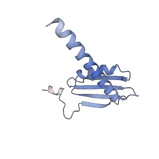 0674_6j4z_K_v1-3
RNA polymerase II elongation complex bound with Spt4/5 and foreign DNA, stalled at SHL(-1) of the nucleosome