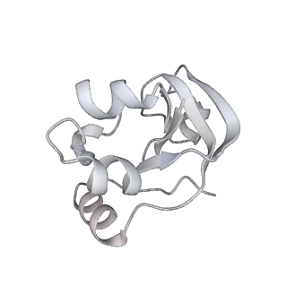 0674_6j4z_V_v1-3
RNA polymerase II elongation complex bound with Spt4/5 and foreign DNA, stalled at SHL(-1) of the nucleosome