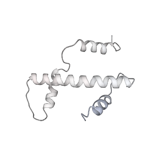 0674_6j4z_a_v1-3
RNA polymerase II elongation complex bound with Spt4/5 and foreign DNA, stalled at SHL(-1) of the nucleosome