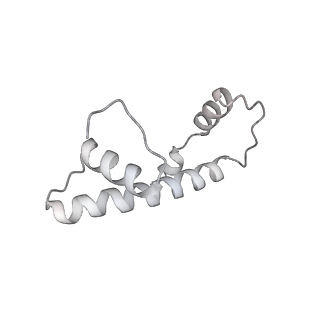 0674_6j4z_b_v1-2
RNA polymerase II elongation complex bound with Spt4/5 and foreign DNA, stalled at SHL(-1) of the nucleosome